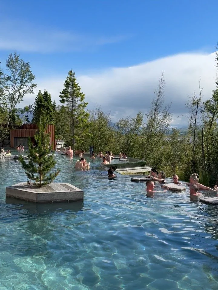 Our pursuit for all the warm water in Iceland trucks on. 

@forestlagoon was a new one for me this trip and such a treat. So well done. We stayed all afternoon, ordered some nice swim-up Pina Coladas, and even stayed for dinner at the cafe.

@hrunala