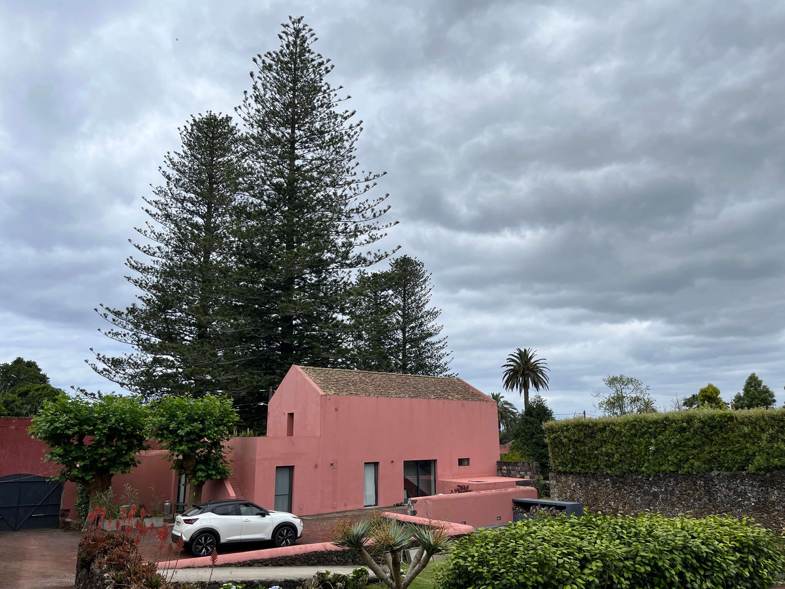 PinkHouse1.jpg