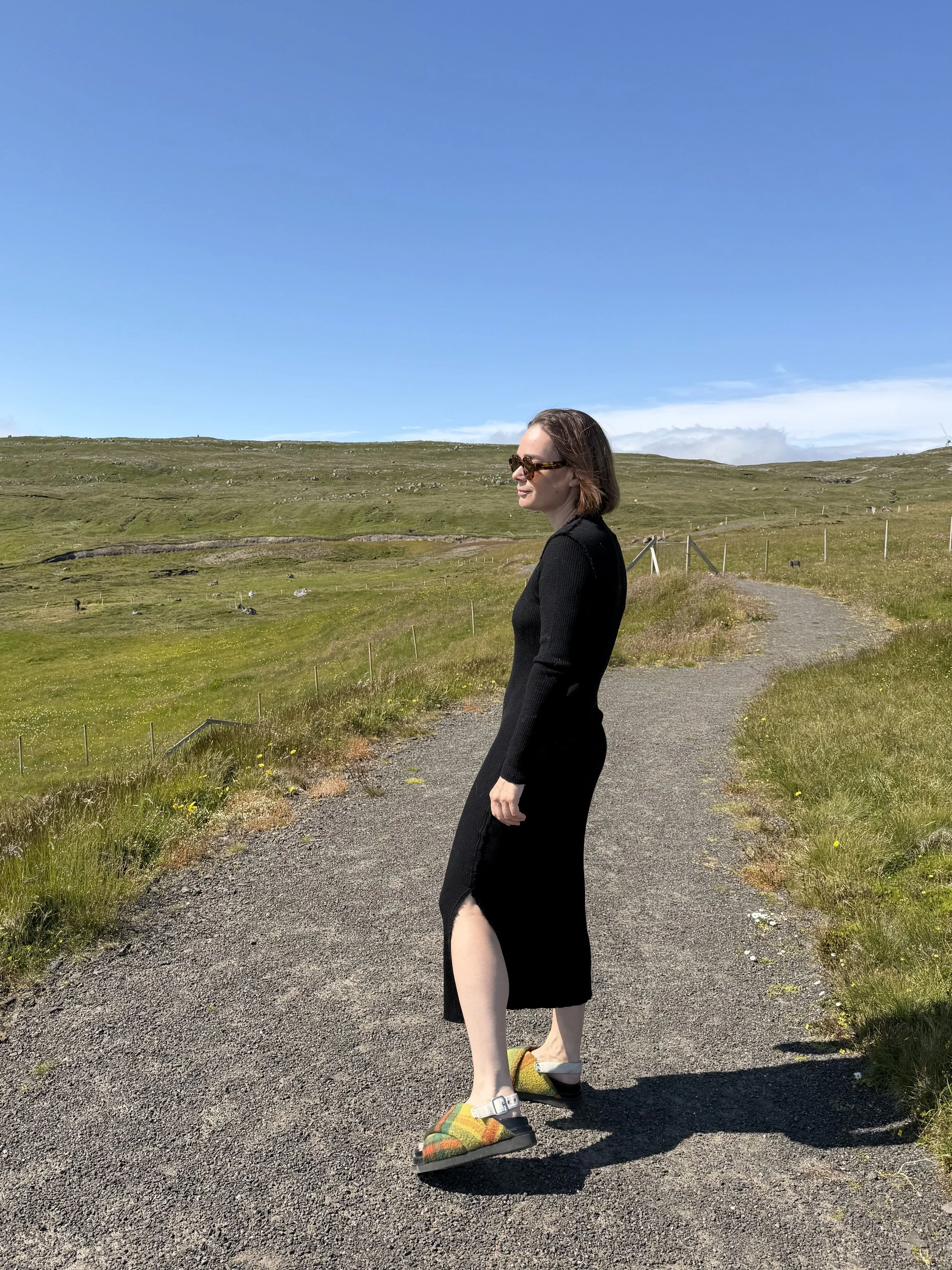 Bina Dress 3.jpeg