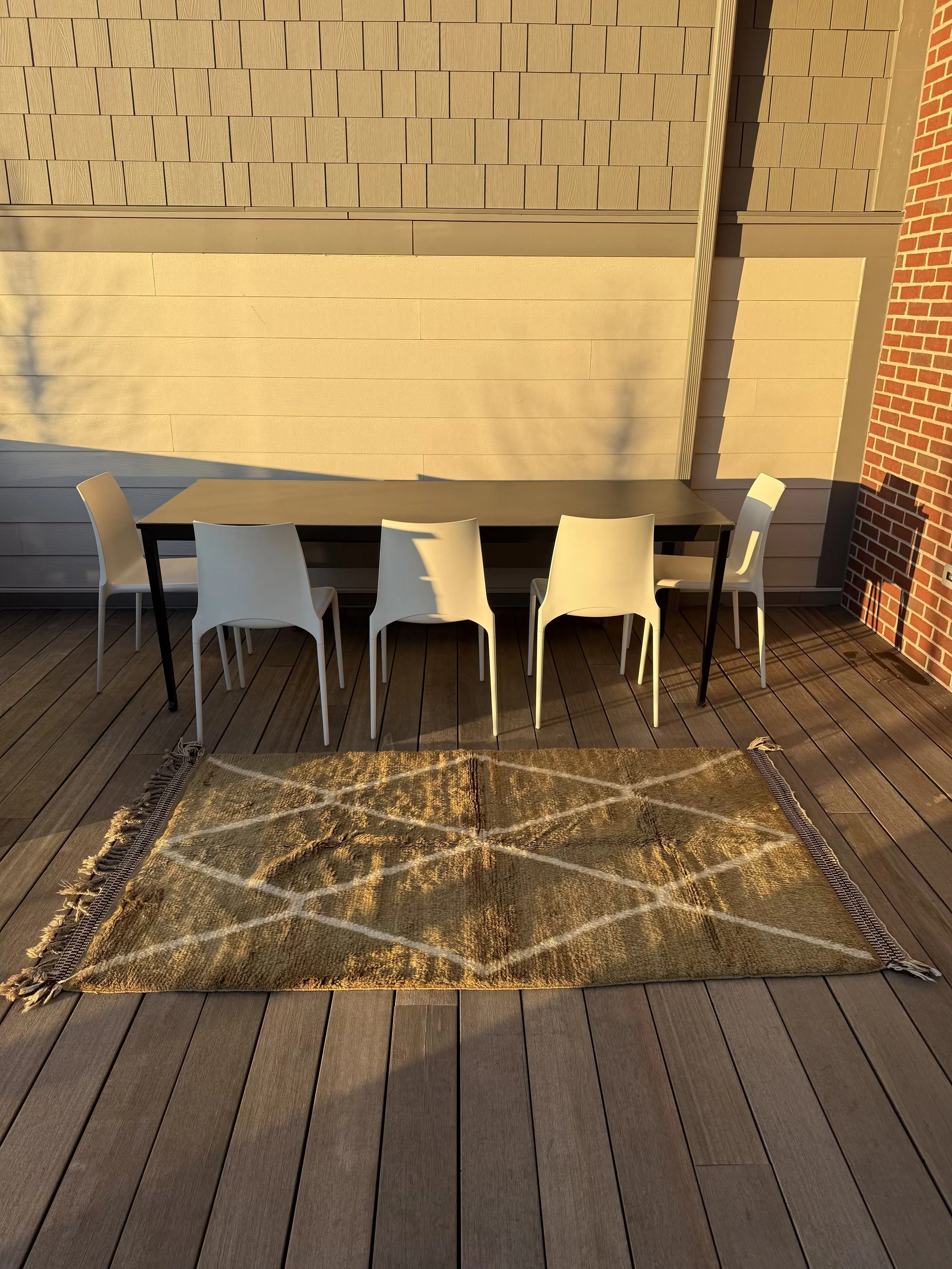 Geometric Print Rug 1.jpeg