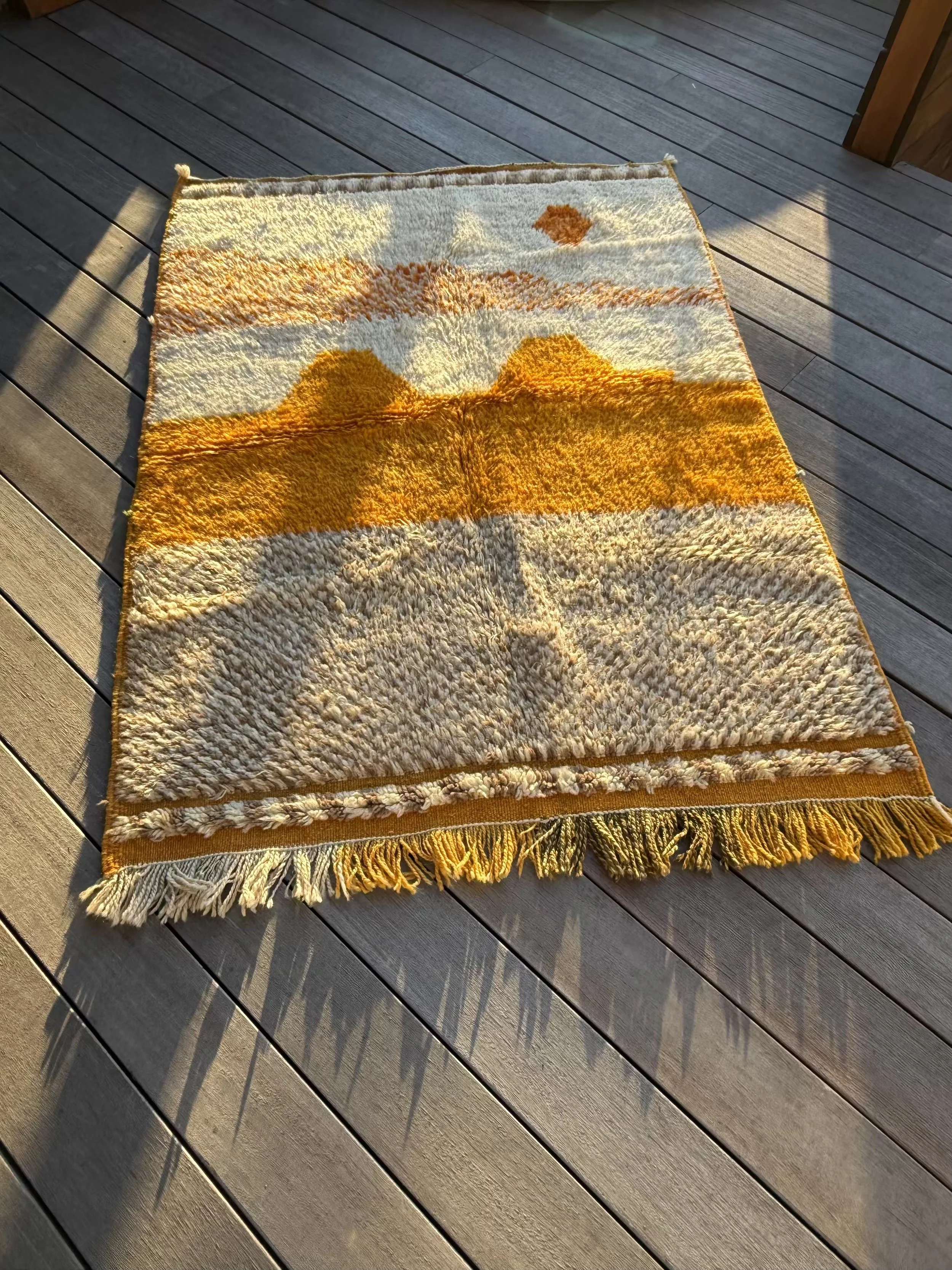 Desert Rug 2.jpeg