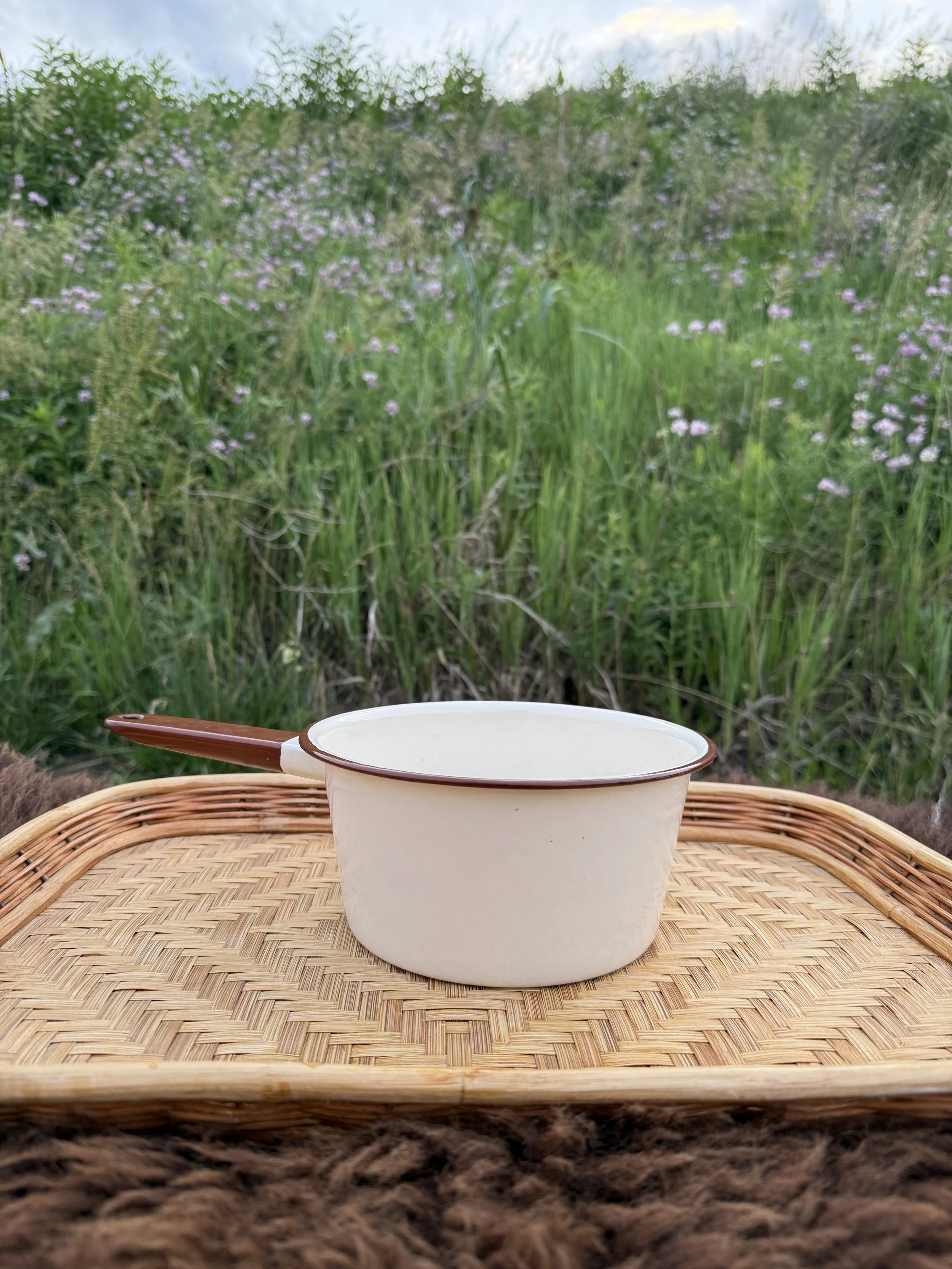 Antique Brown and Cream Enamel Pan 2.jpg