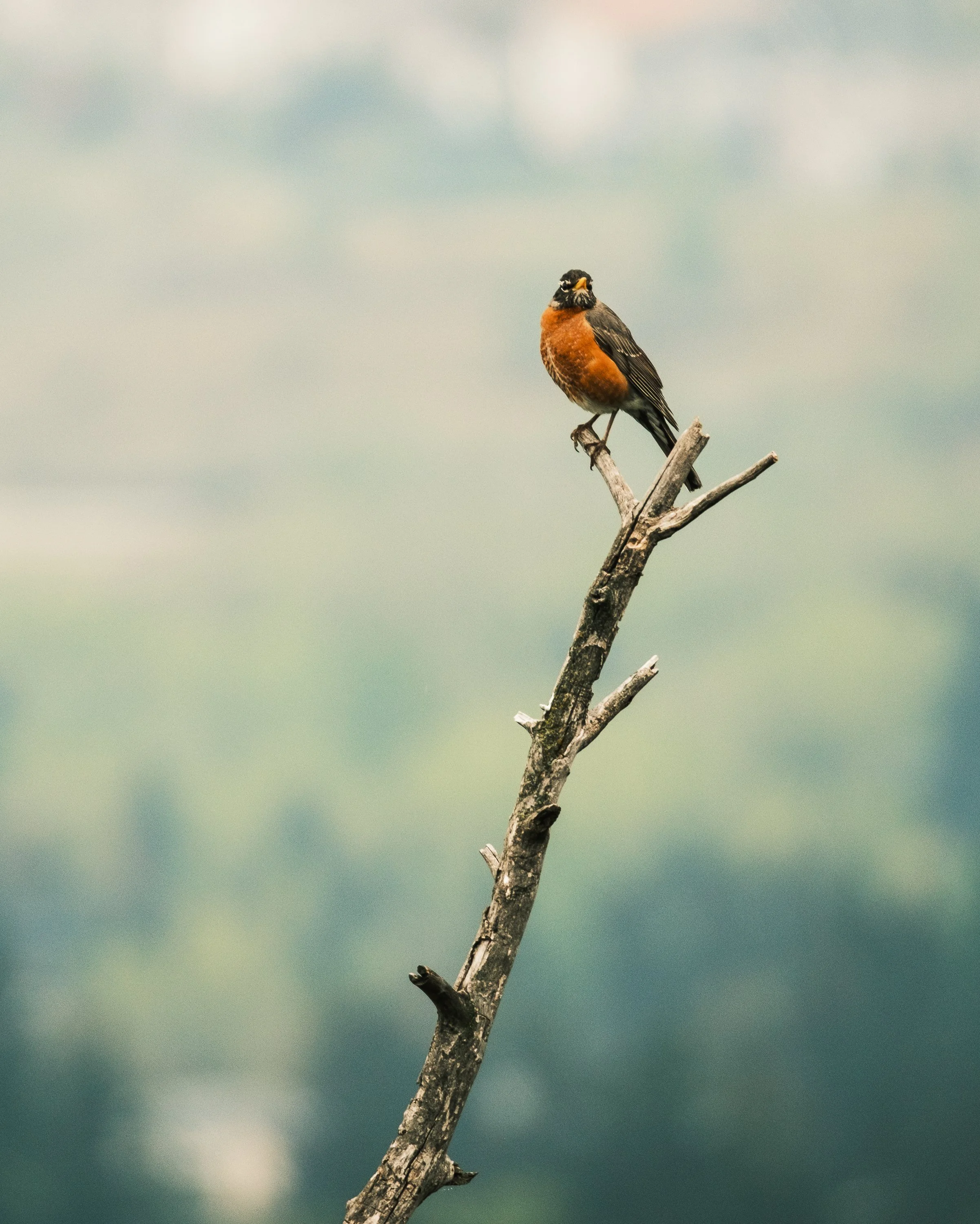 Nature Tours (Photos by Matt Wallace - Citizen Blitz).-1.jpg