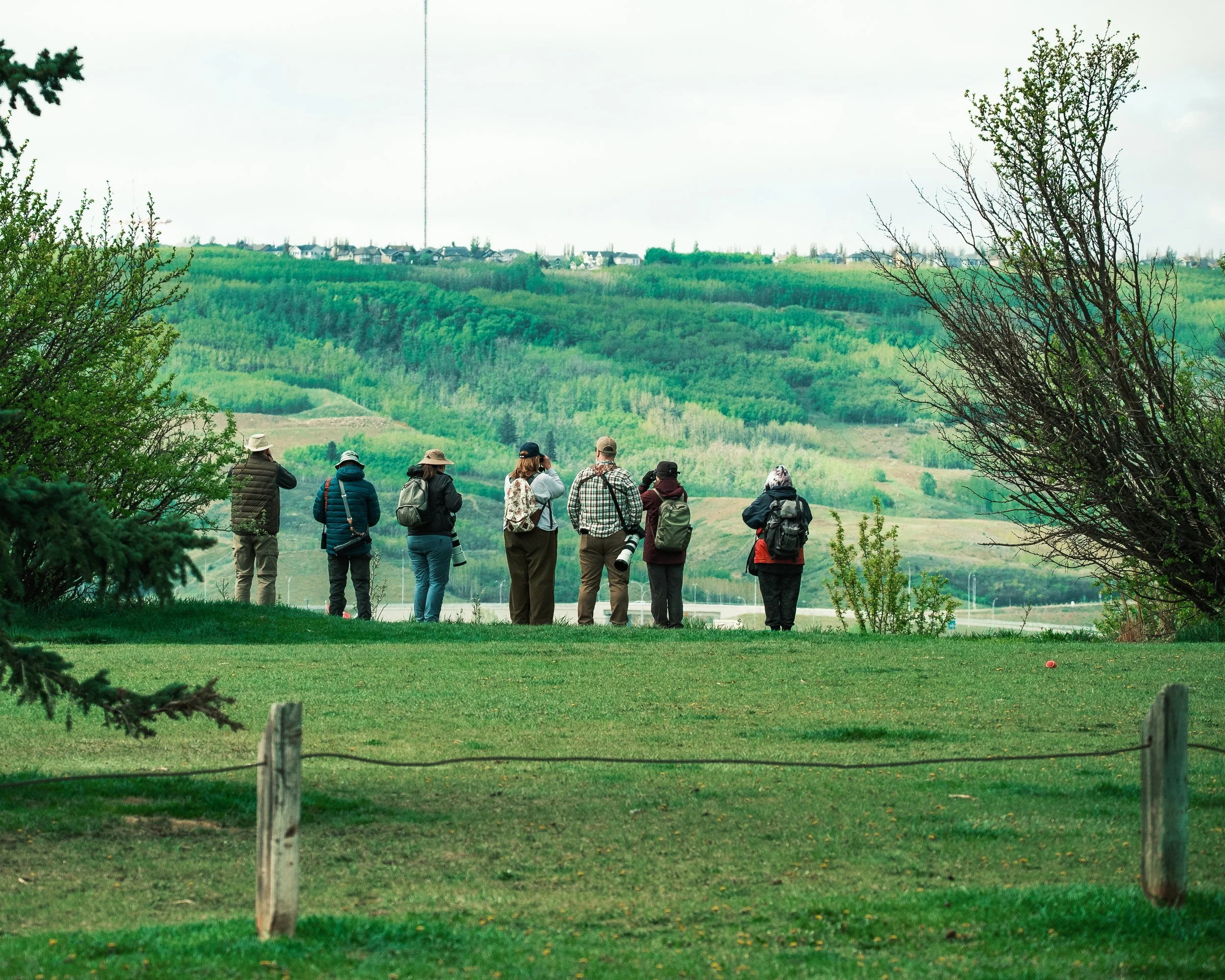 Nature Tours (Photos by Matt Wallace - Citizen Blitz).-1-11.jpg