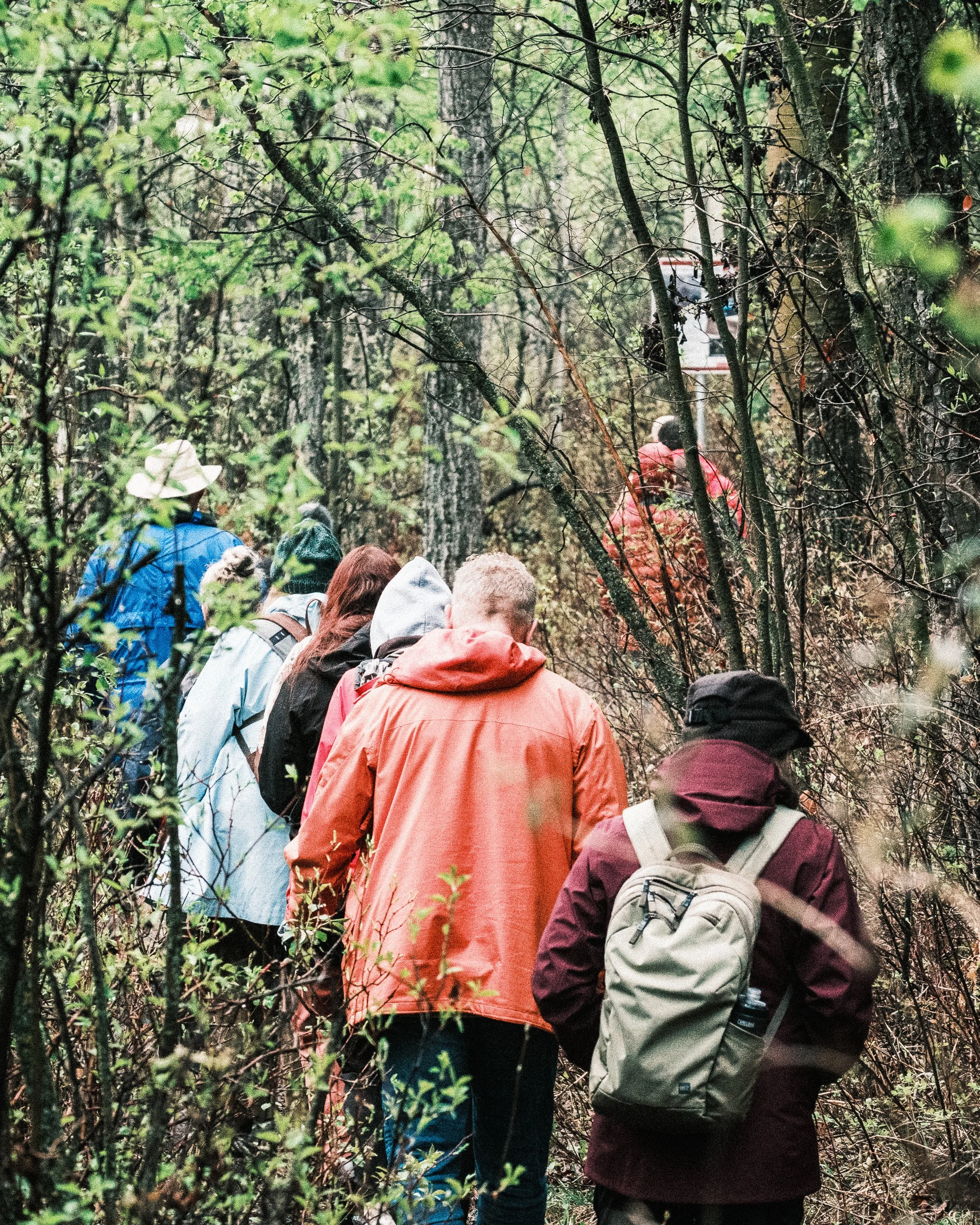 Nature Tours (Photos by Matt Wallace - Citizen Blitz).-1-5.jpg