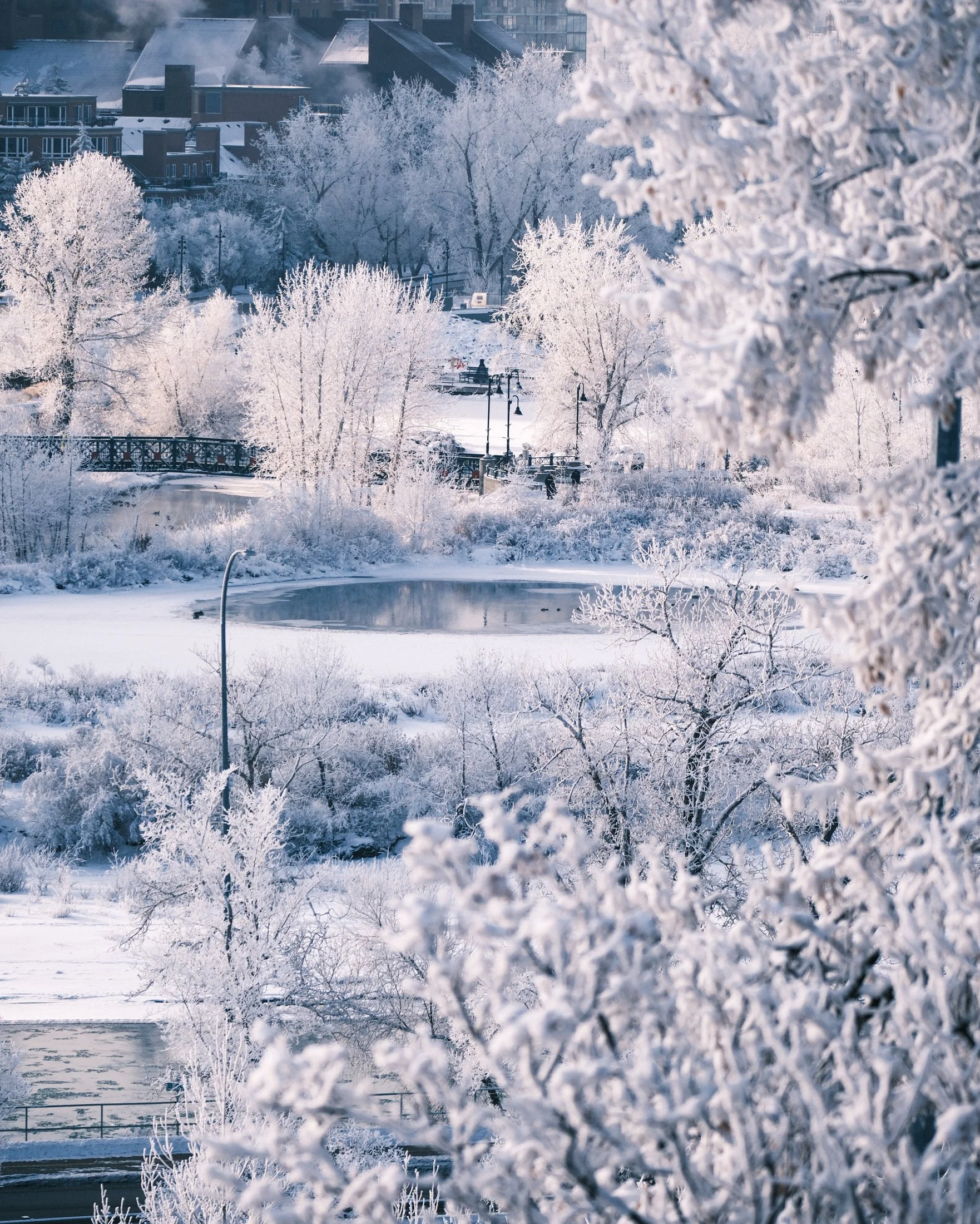 Winter Calgary. Photos by Matt Wallace - Citizen Blitz-1.jpg