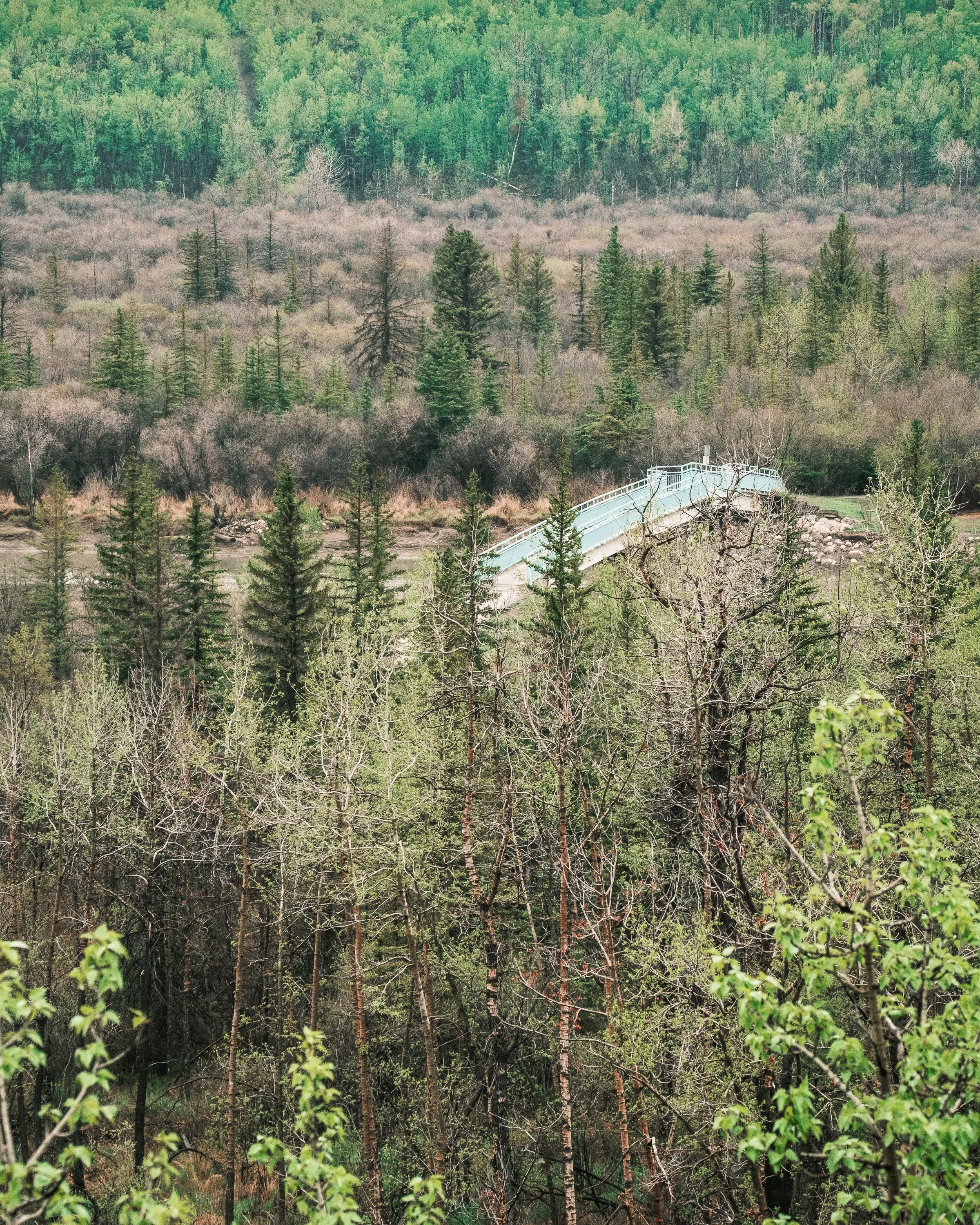 Nature Tours (Photos by Matt Wallace - Citizen Blitz).-2.jpg