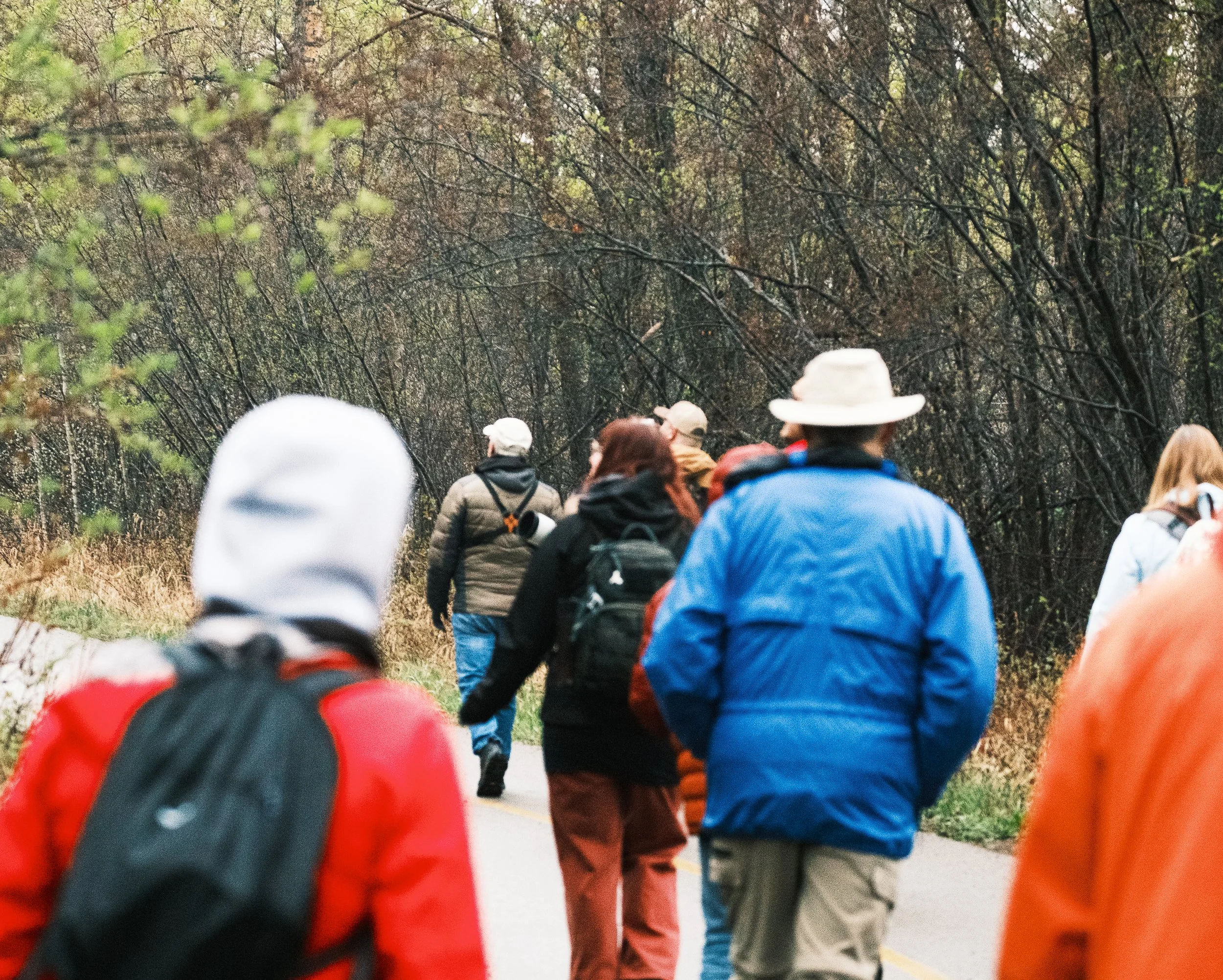 Nature Tours (Photos by Matt Wallace - Citizen Blitz).-1-4.jpg