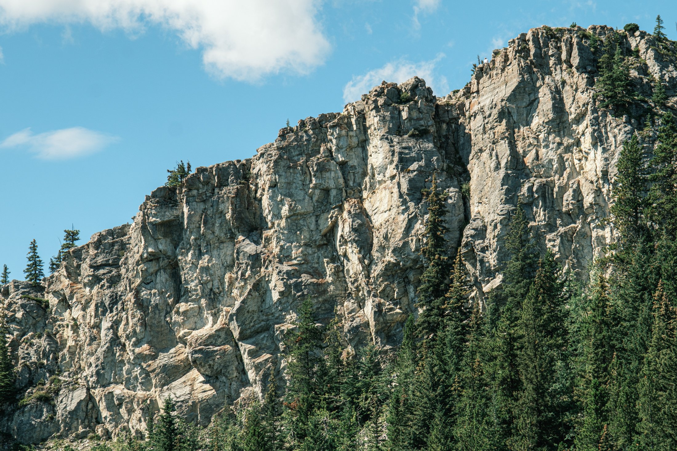 jim hike Calgary. Photos by Matt Wallace - Citizen Blitz-4910.jpg