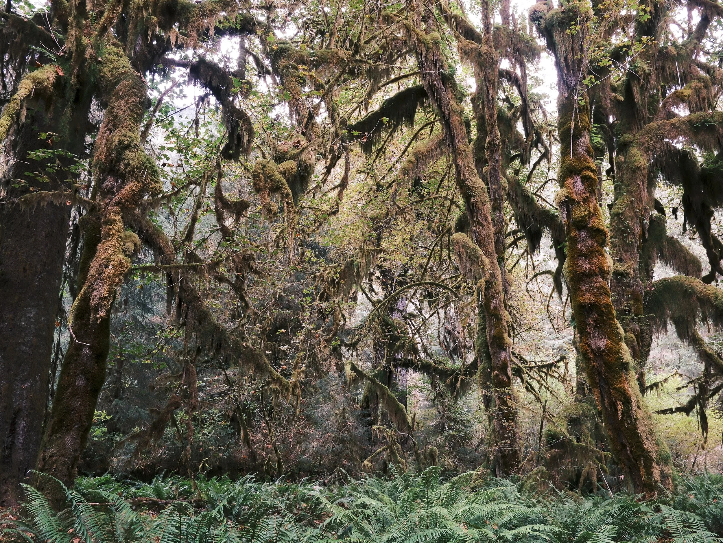 Washington Road Trip (CitizenBlitz) (1 of 1)-2.JPG