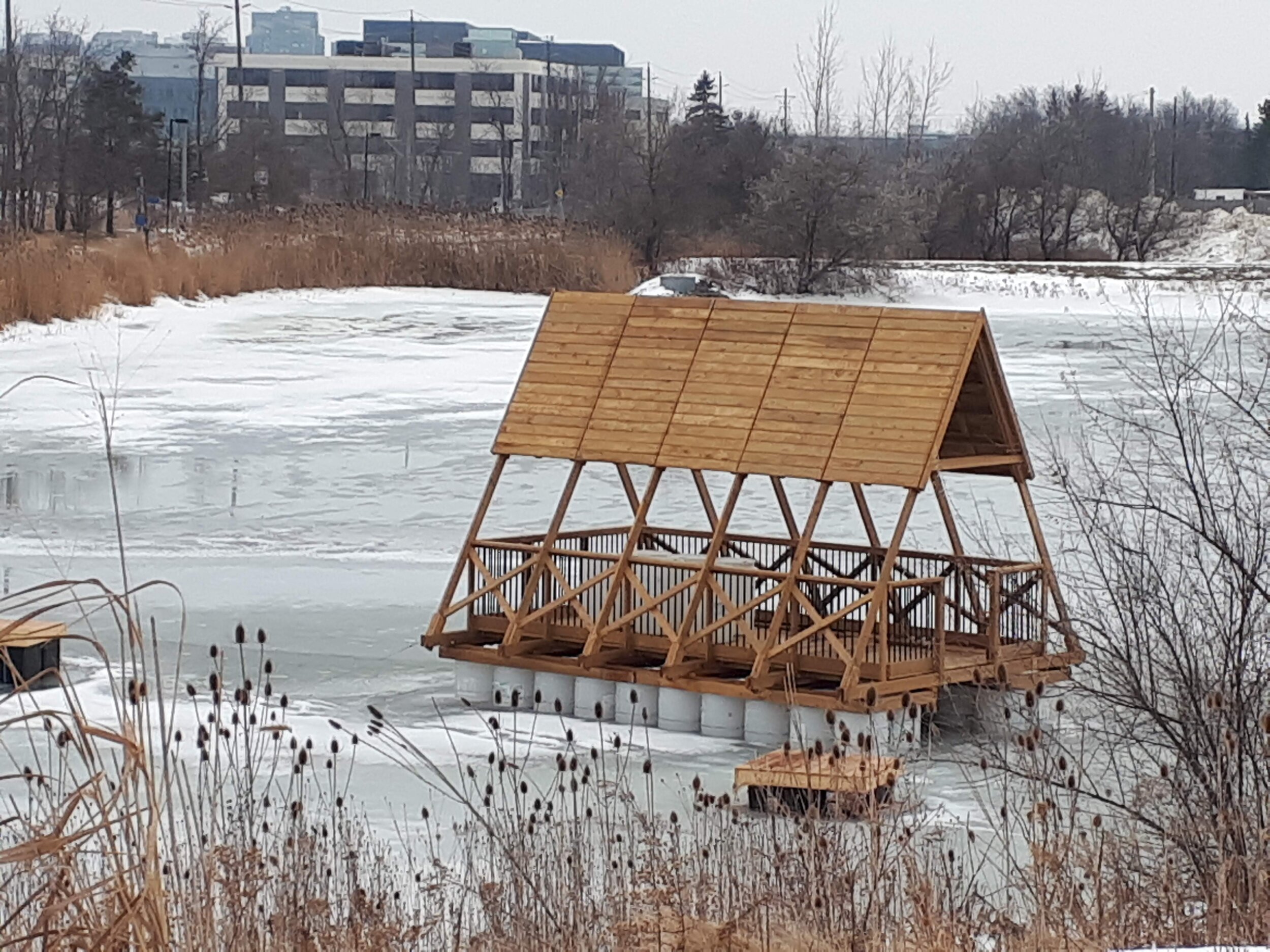  Pavilion in the Winter 