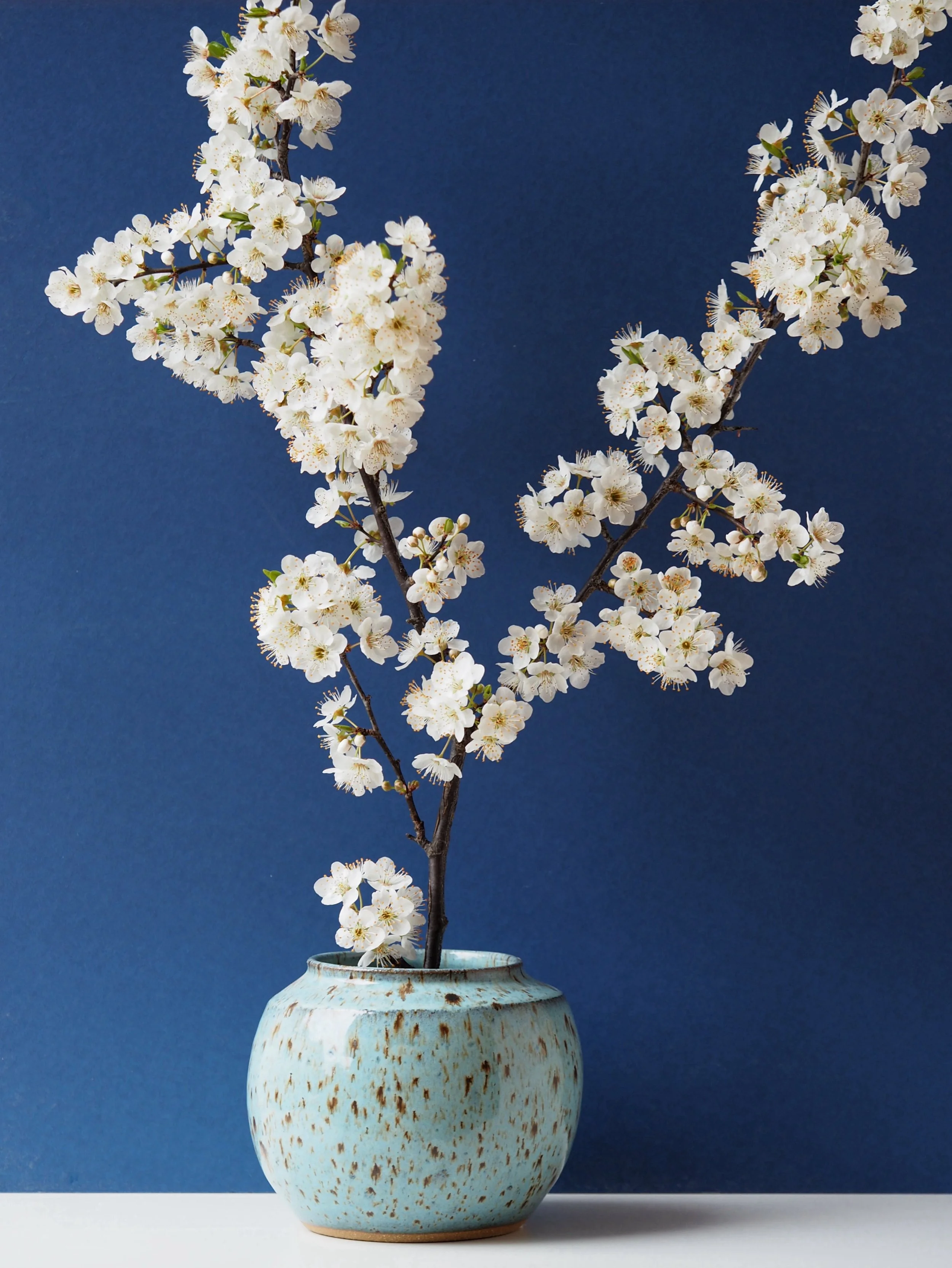 Speckled Blue Flower Bowl.JPG
