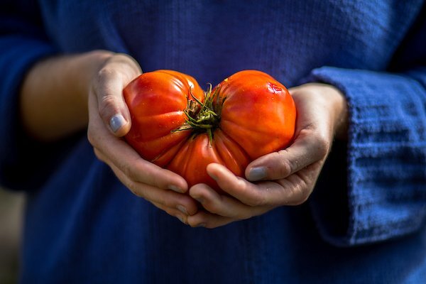 180910_winthrop_garden_harvest-42__1_.jpg