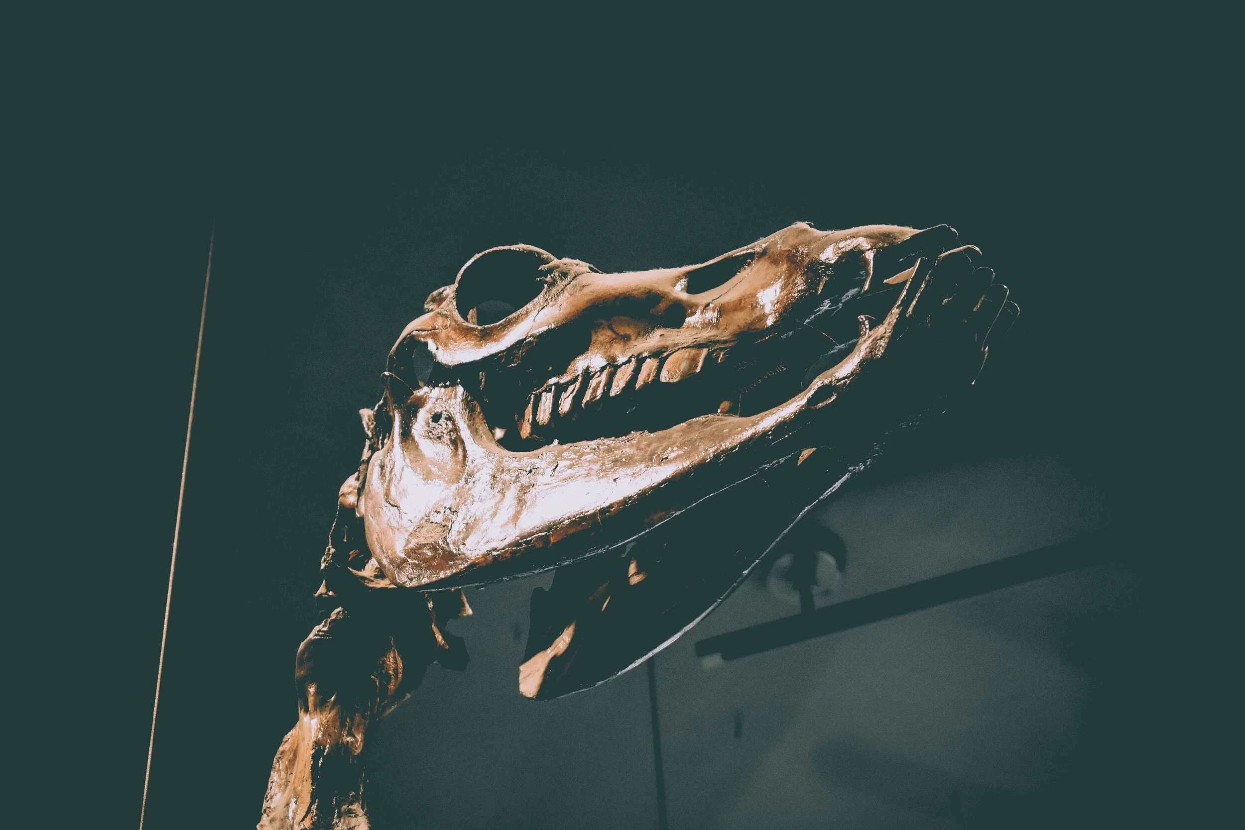 1st &amp; 2nd Grade Field Trip | La Brea Tar Pits