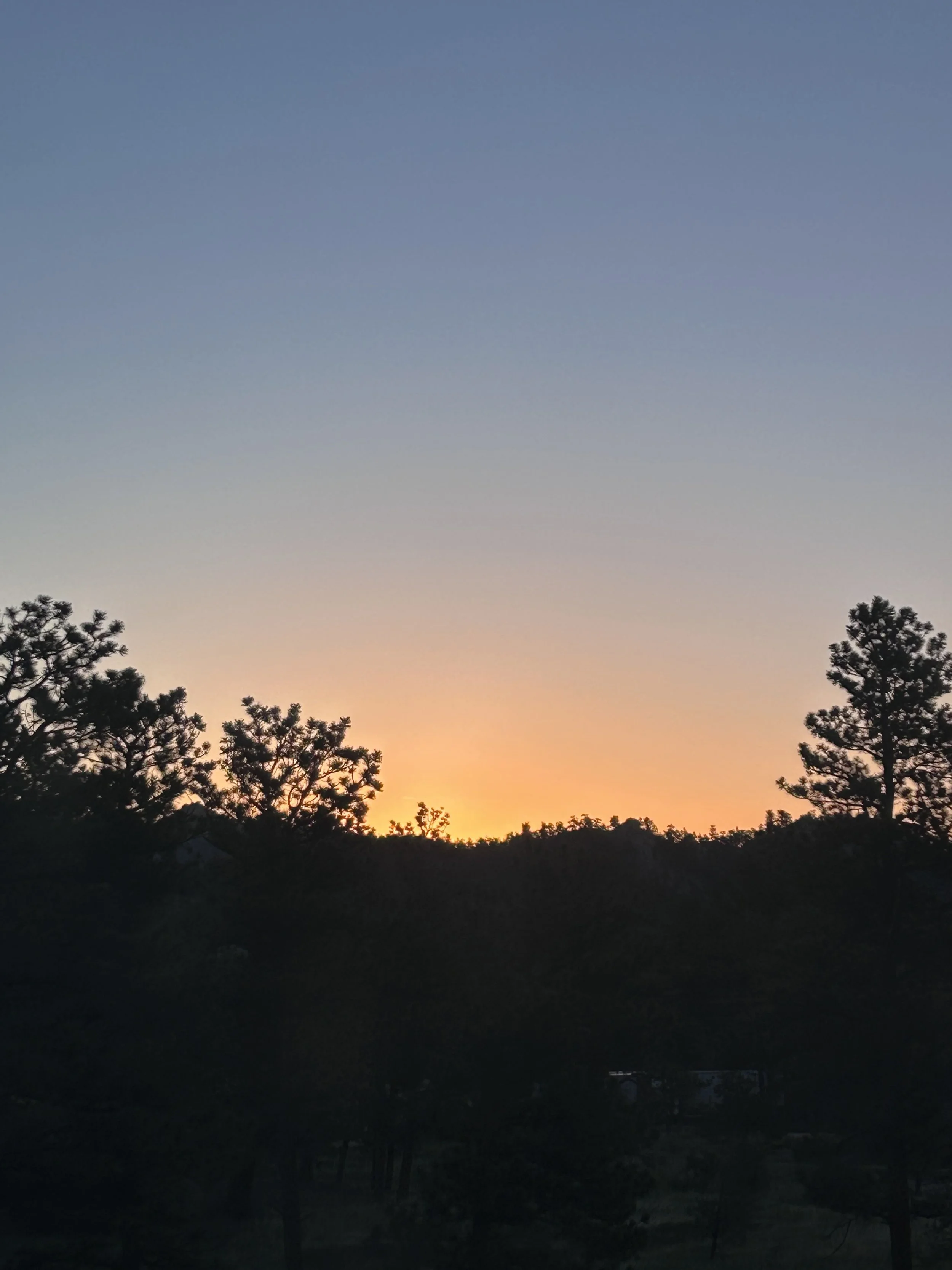 IMG_3284.jpeg