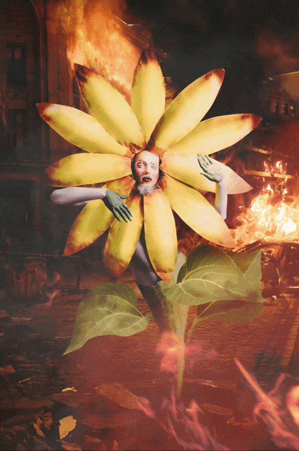 ezgif.com-optimize (5).gif