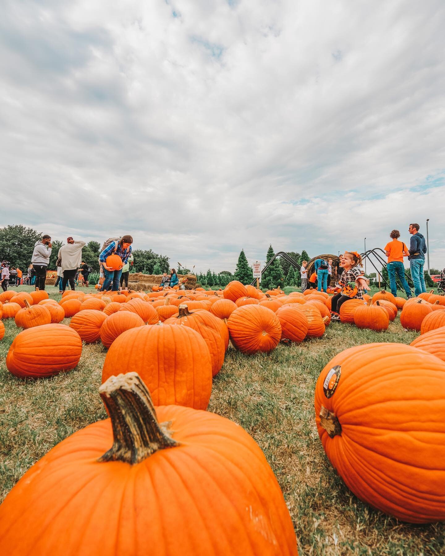 TODAY&rsquo;S THE DAY &bull; Come on out after school today at 4pm to help us kick off Pumpkin Patch 2020! We&rsquo;re so excited to see y&rsquo;all again. Don&rsquo;t forget your mask! 🍁🌲

Entry: $7 per person (age 2+) &bull; Pumpkins and Attracti