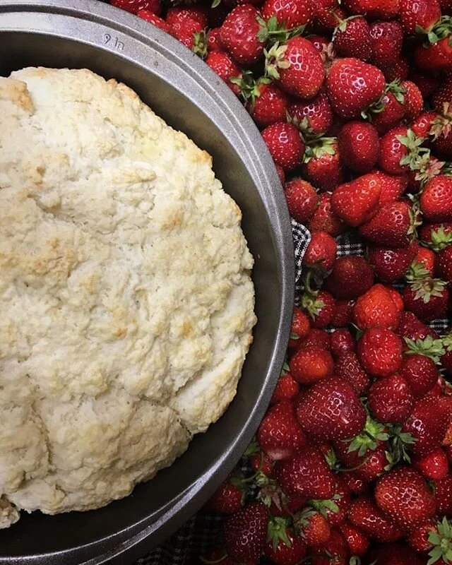 We have a great supply of strawberries at the farm! What better time to enjoy strawberry shortcake! 🍓

Want to learn how to make it with the Davison family? Check out our recipe video link in the bio!
.
.
.
.
.
.
.
.
.
.
