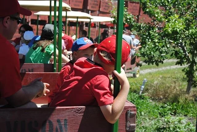 It's summertime at the farm, which means: -We will now be open from 9am-6pm daily!⏱
-Tractor tours will be running every day!🚜
(Mon-Sat 10am-4pm &amp; Sun 10:30am-4pm)
-We have lots of fresh Strawberries + Cherries!&nbsp;🍓🍒 Come take in the farm experience this weekend with friends and family. We look forward to seeing you soon!
.
.
.
.
.
.
.
.
.
.