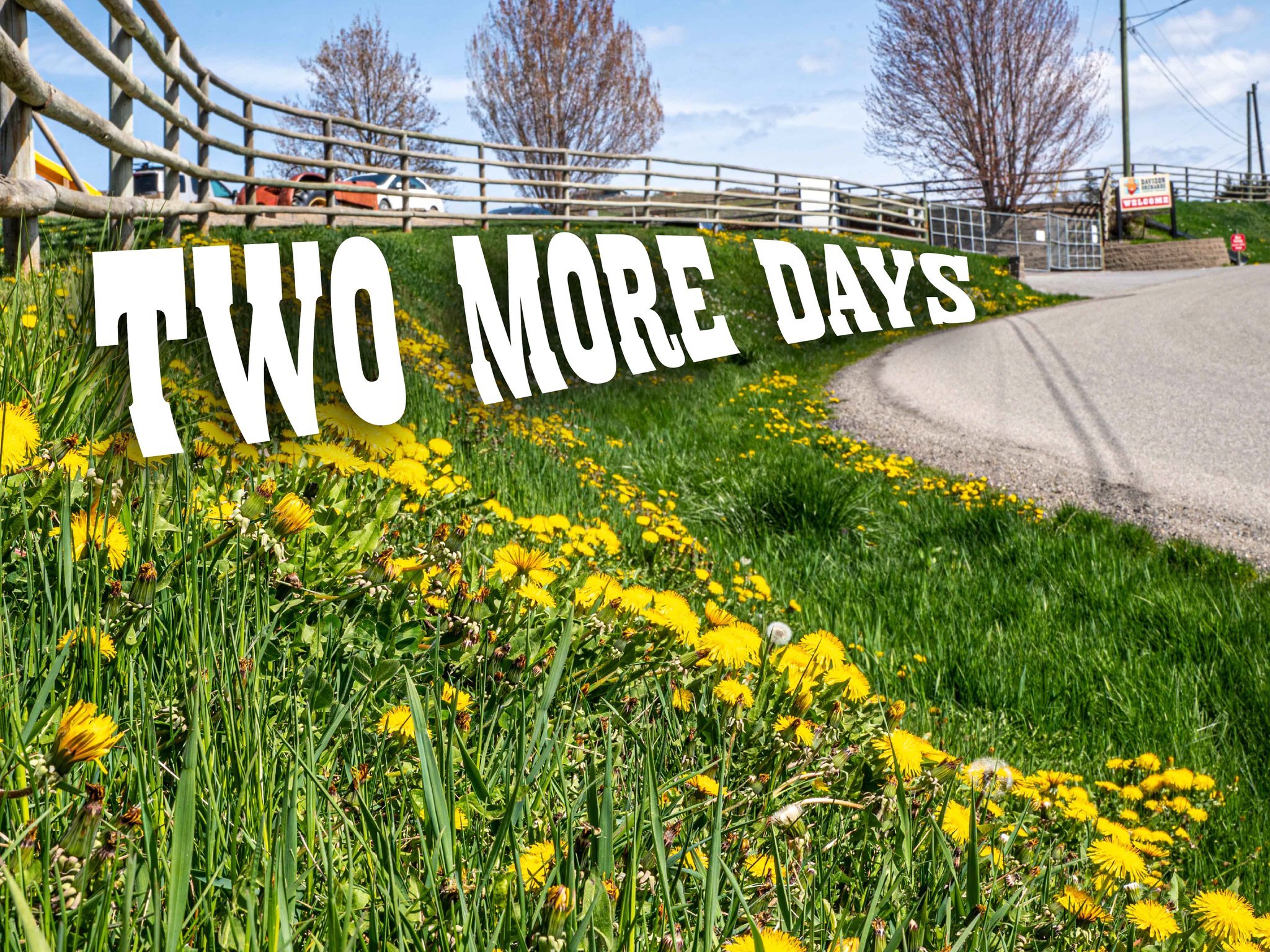 Just two more days... We open Wednesday May 1st!!
We can hardly wait for it. Stay tuned because we have a exciting surprise that we are sure you are going to love.