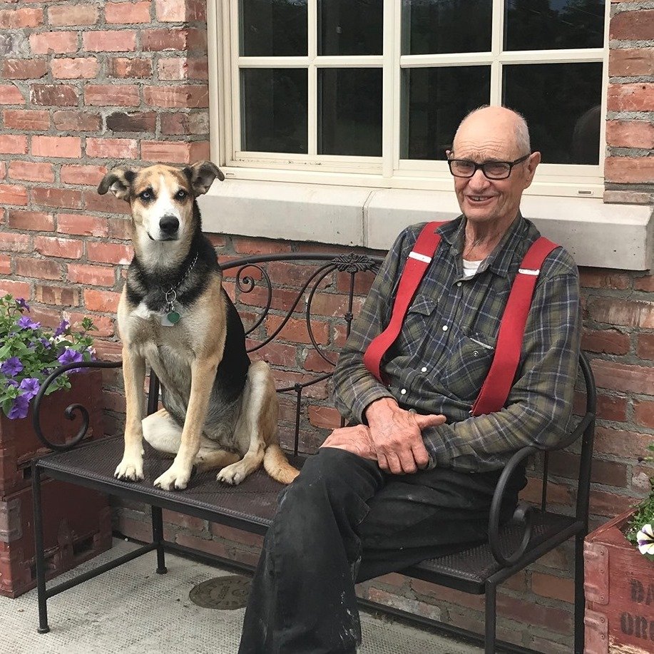 Today is a sad day.

Grandpa Bob lost his dear friend and constant companion, Harlow, his much-loved dog. He passed away suddenly yesterday and will be missed by the family and the whole team here at the farm.

Grandpa Bob has always had a dog by his