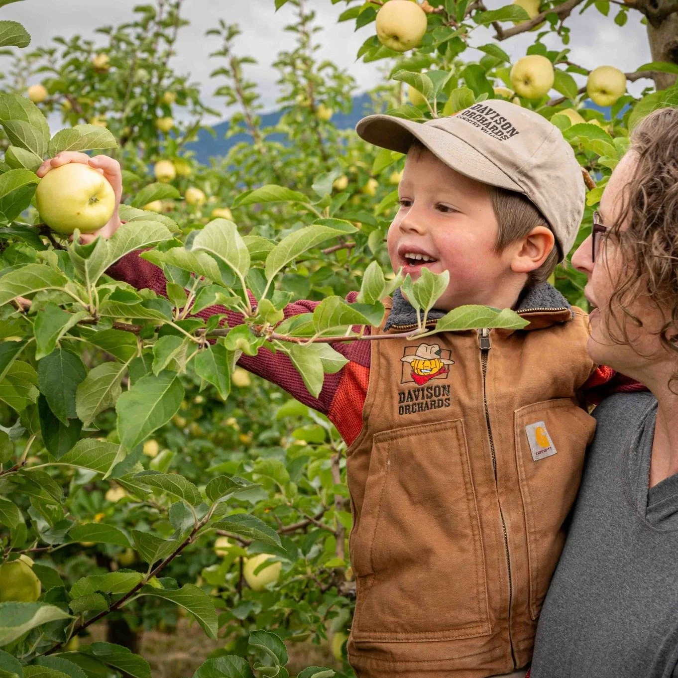 🍎✨ The season is almost here&hellip; U-PICK APPLES start next weekend! ✨🍎

Beginning Thursday, August 28th, hop on the tractor train 🚜, head into the orchard, and fill your bag with crisp, juicy apples straight from the tree.

📅 Opening Day: Thur