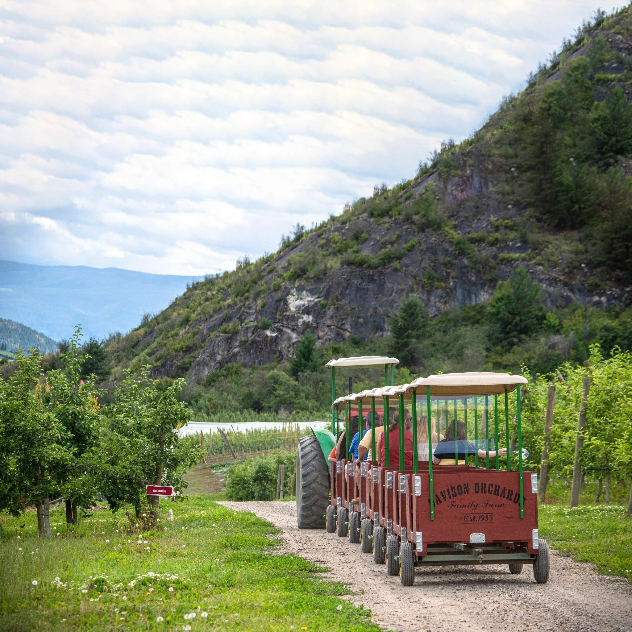 🍎🚜 Family Fun at Davison Orchards!

✨ Hop on an Orchard Tour and ride the Johnny Popper tractor through the fields. Run every 45 minutes from 10 to 4!
🥞 Stop by the Farmhouse Caf&eacute; for breakfast until from 9 to 11 a.m. or a farm-fresh lunch 
