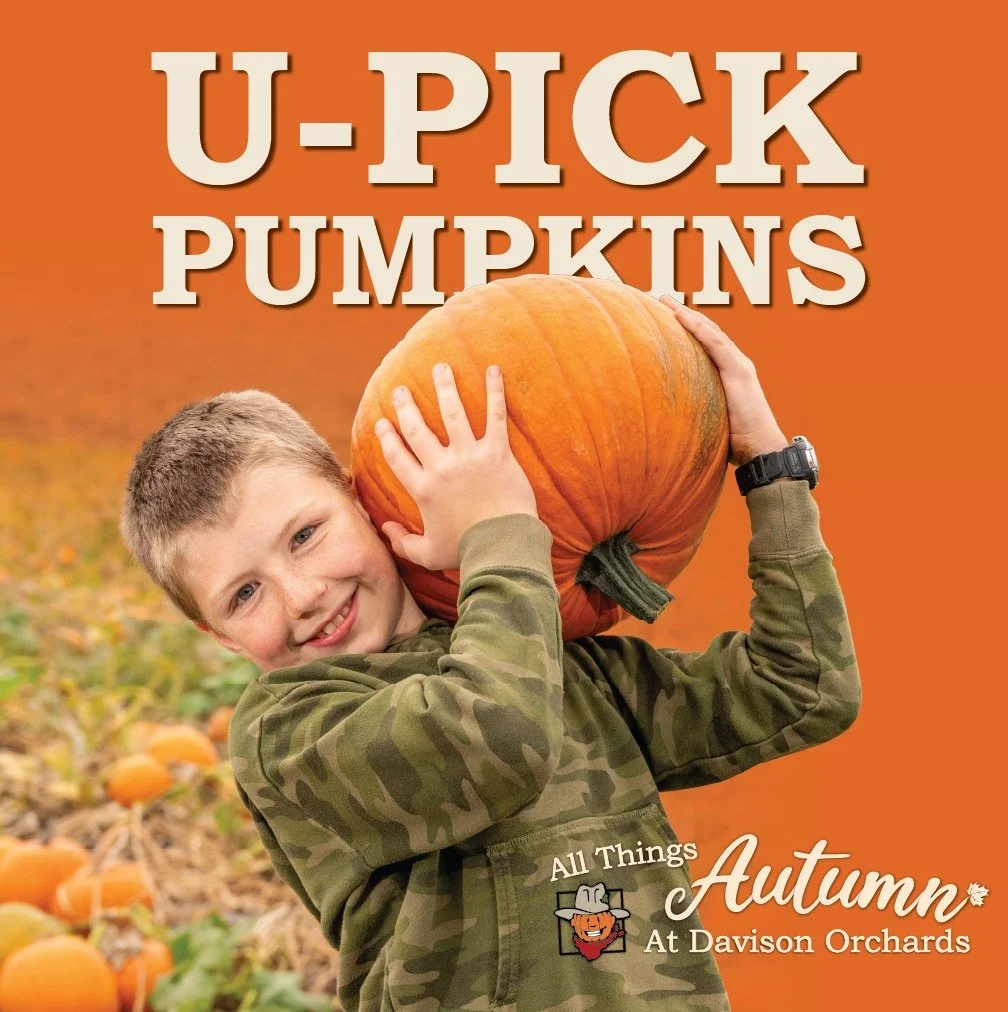🎃🍁 IT&rsquo;S PUMPKIN TIME! 🍁🎃

The patch is open,  hop on the Johnny Popper Tour, pick your pumpkin, snap the fall pics &amp; soak up those autumn vibes. 🚜✨

October = pumpkin memories at Davison Orchards! ❤️🍂

#farmexperience
#DavisonOrchards