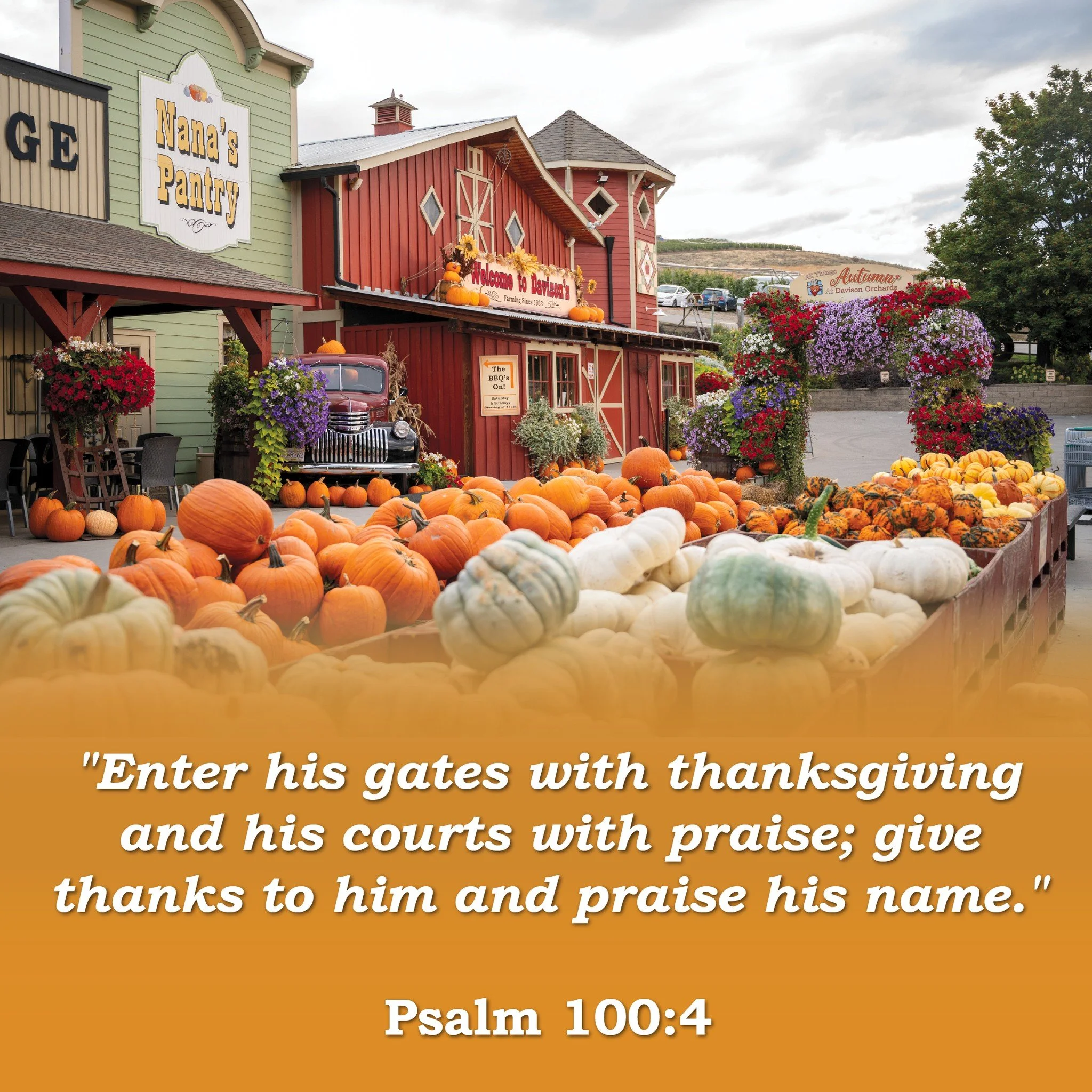 🍂 From the Davison Family to all, Happy Thanksgiving! 🦃

We are open today from 9:00am to 5:30pm &mdash; come and celebrate this day with us! 🍎🥧

#DavisonOrchards #HappyThanksgiving #FamilyFun #FarmFresh #PumpkinPatch #AutumnVibes #FallHarvest #A