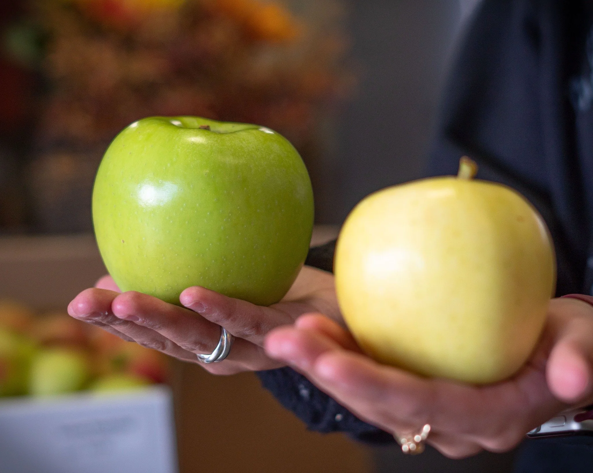 🍏 Now at the Market: Mutsu Apples!
Also known as Crispin, this big, bright green apple is Japan&rsquo;s famous &ldquo;million dollar apple.&rdquo; A cross between Golden Delicious and Indo, it&rsquo;s incredibly crisp, sweet, and juicy &mdash; with 