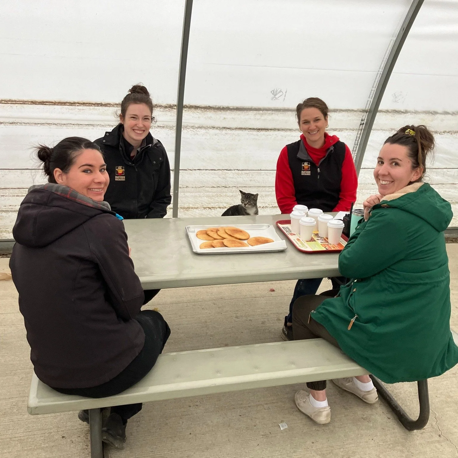 You see the smiles, the apples, and the pies&hellip; but behind it all there are planning, shopping, and meetings!

Here&rsquo;s a peek at one of those moments, our Food Service dream team: Holly, Rachel, Amanda, Laura, and Rocky, though we think Roc