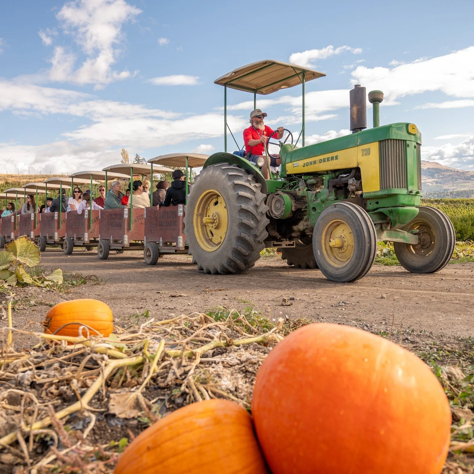 🎃 Last chance to visit the patch!
Tractor rides and U-Pick pumpkins are on for the last 4 days! 🍂
Hop on the wagon and pick your perfect pumpkin from 10 to 4 pm!
Starting tomorrow, our Pumpkin Scone is the featured treat at the Farmhouse Caf&eacut