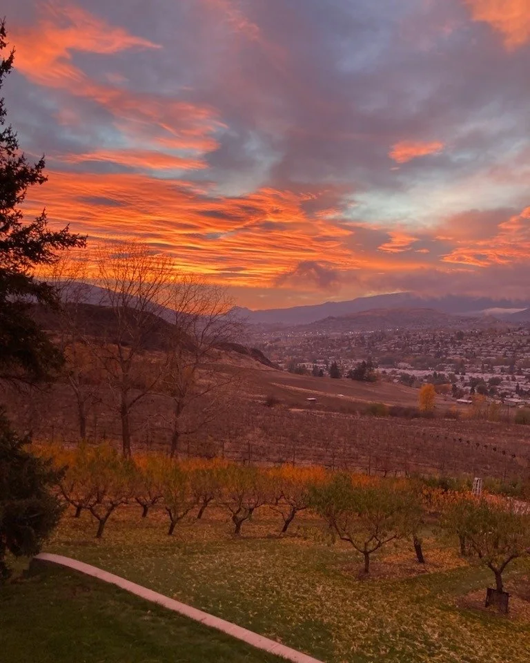 Beautiful sunrise at the farm this morning!
This is the last day of our beautiful and blessed 2025 season.

🏷️We&rsquo;re open today with sales in the gift shop, and our Fill a green-handled cart with pumpkins and gourds for $20 sale continues!

🎃?
