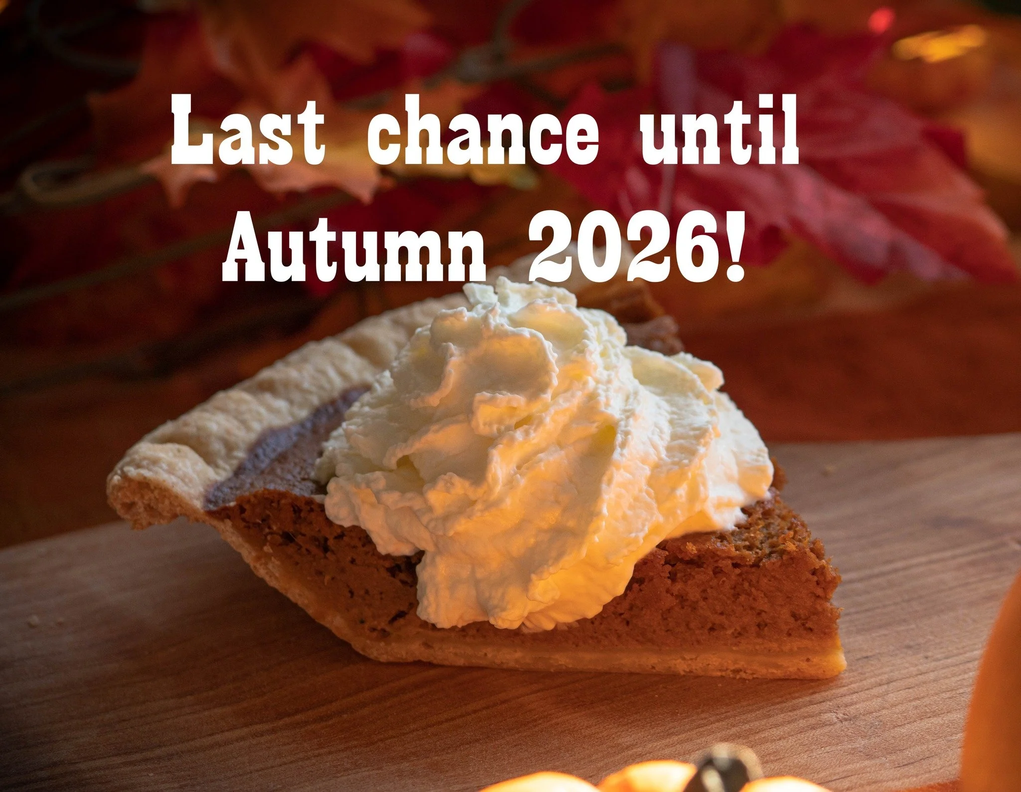 ⚠️Last Pumpkin Pies ALERT! 🥧 
Top your pumpkin pie with whipped cream and make your Christmas table complete🎄. Hurry, they&rsquo;re almost gone!

Order online until Wednesday 17th at midnight to pick up on Thursday 18th from 10 to 3.
🛒 https://dav