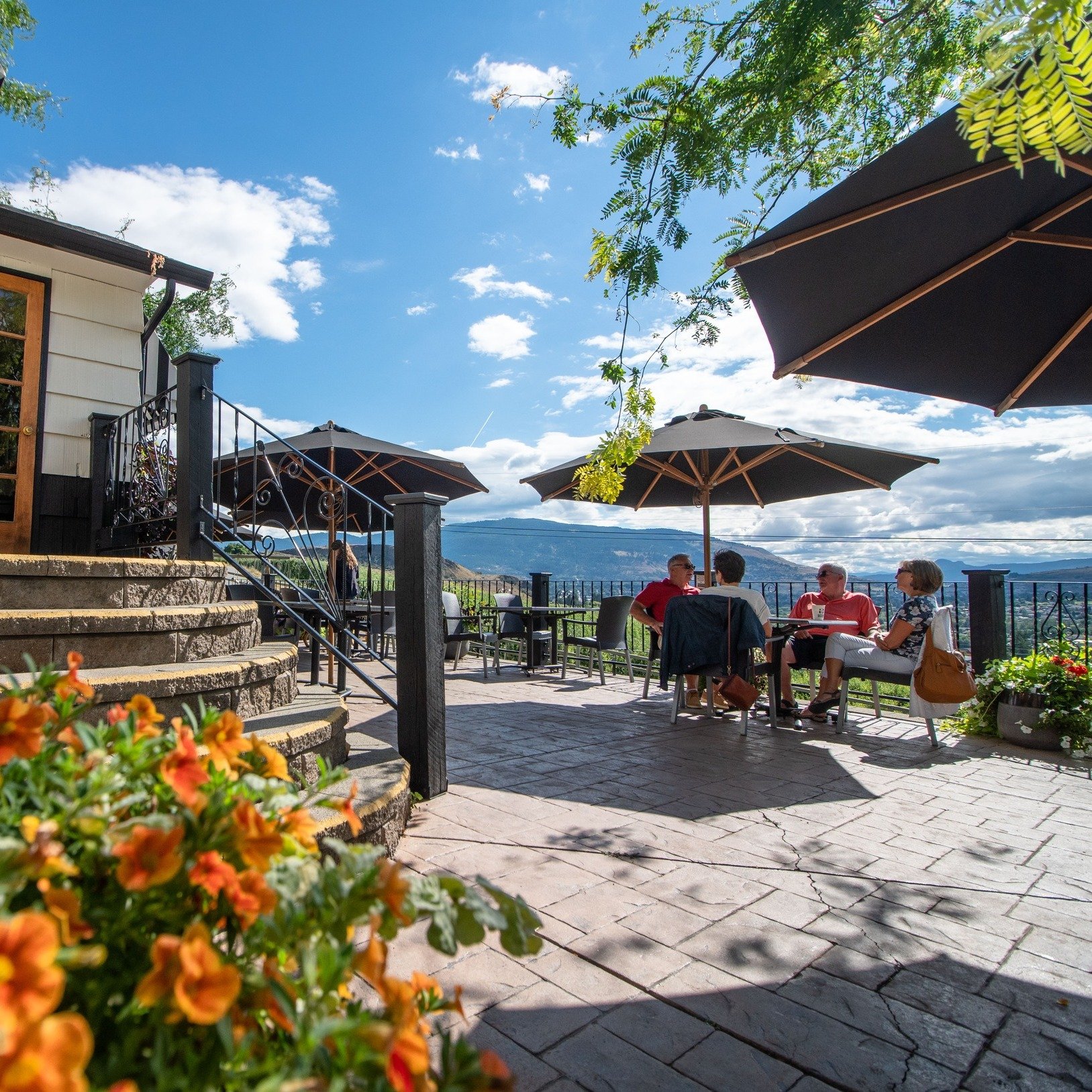 These cold days might make it feel like spring is far away, but it is closer than you think. 🌷

Patio weather is coming, and soon you will be enjoying coffee and pie outside at the Farmhouse Cafe!

Until then, our online store is open.
🛒https://dav