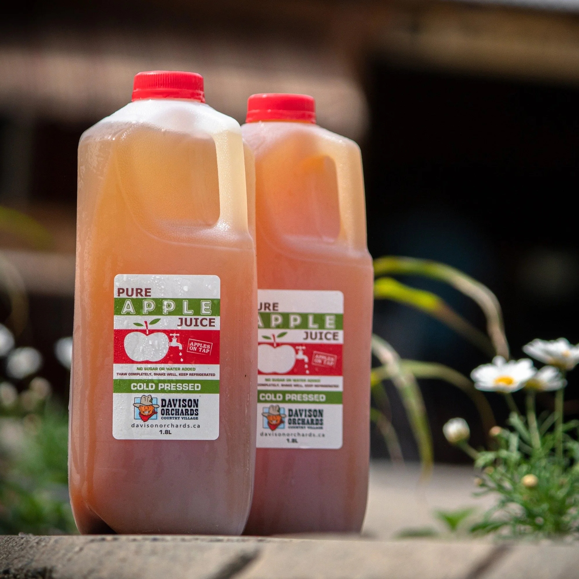 🌷🪻Spring Break is here! ☀️🚜

Are you taking a little getaway or enjoying quiet days at home?
Get something everyone will reach for: Davison Orchards Apple Juice 🍎
It comes frozen, so it's easy to pack for road trips! 🛣️🚗🚙

Grab it in our onlin