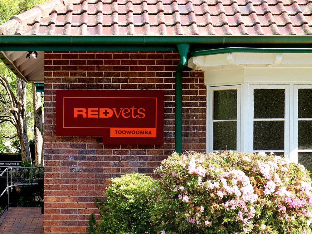 Illuminated-Lightbox-Signs-On-Time-RedVets-Toowoomba.jpg