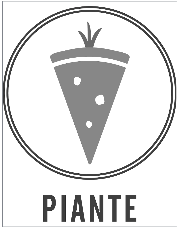 logo de plantas.png
