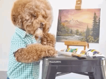 Dec-30-2019 03-30-22.gif