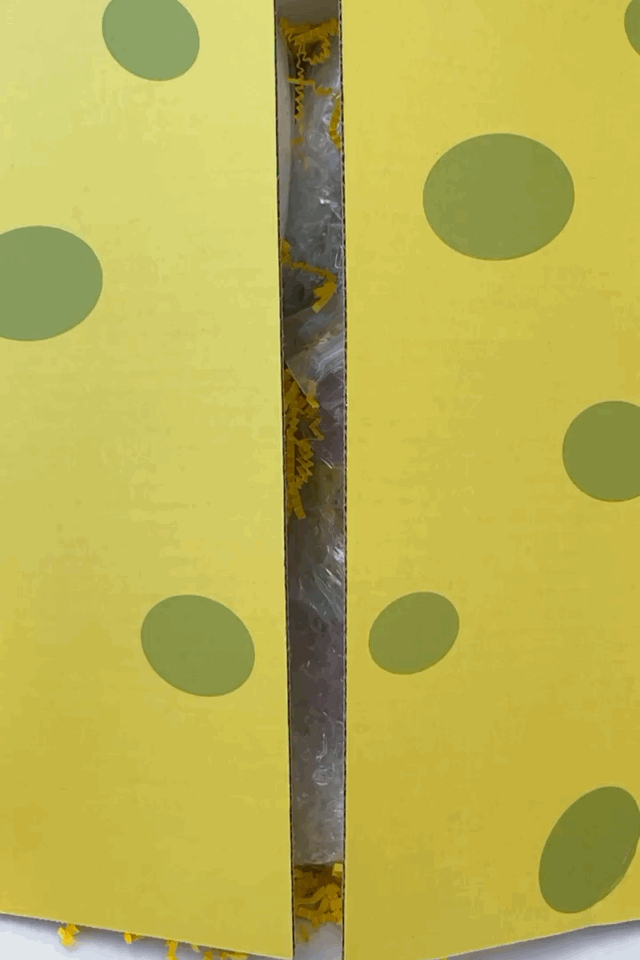 ezgif.com-gif-maker (1).gif