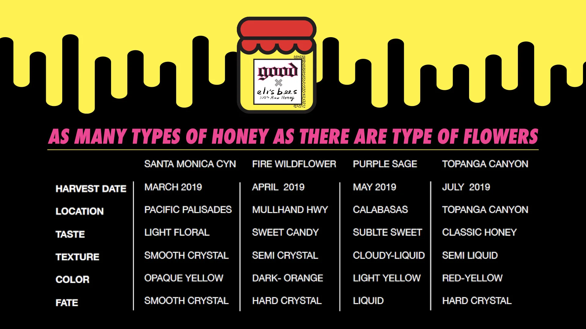 BEES IN THE TRAP_AUG19_3.020.jpeg