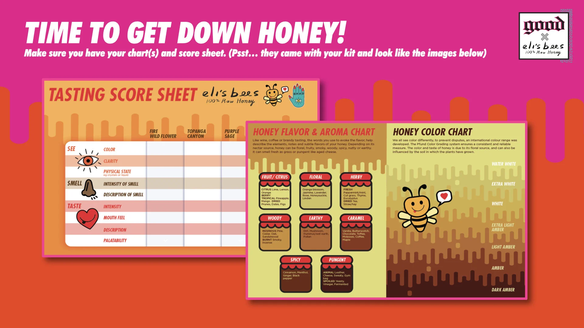 BEES IN THE TRAP_AUG19_3.019.jpeg