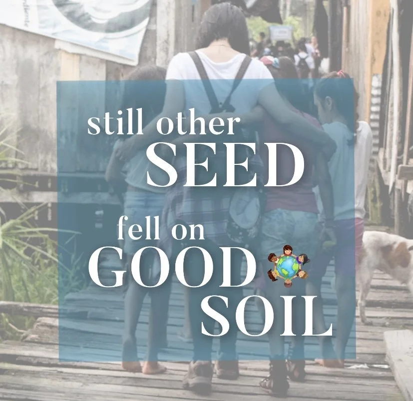 Seeds From a Plastic Tree