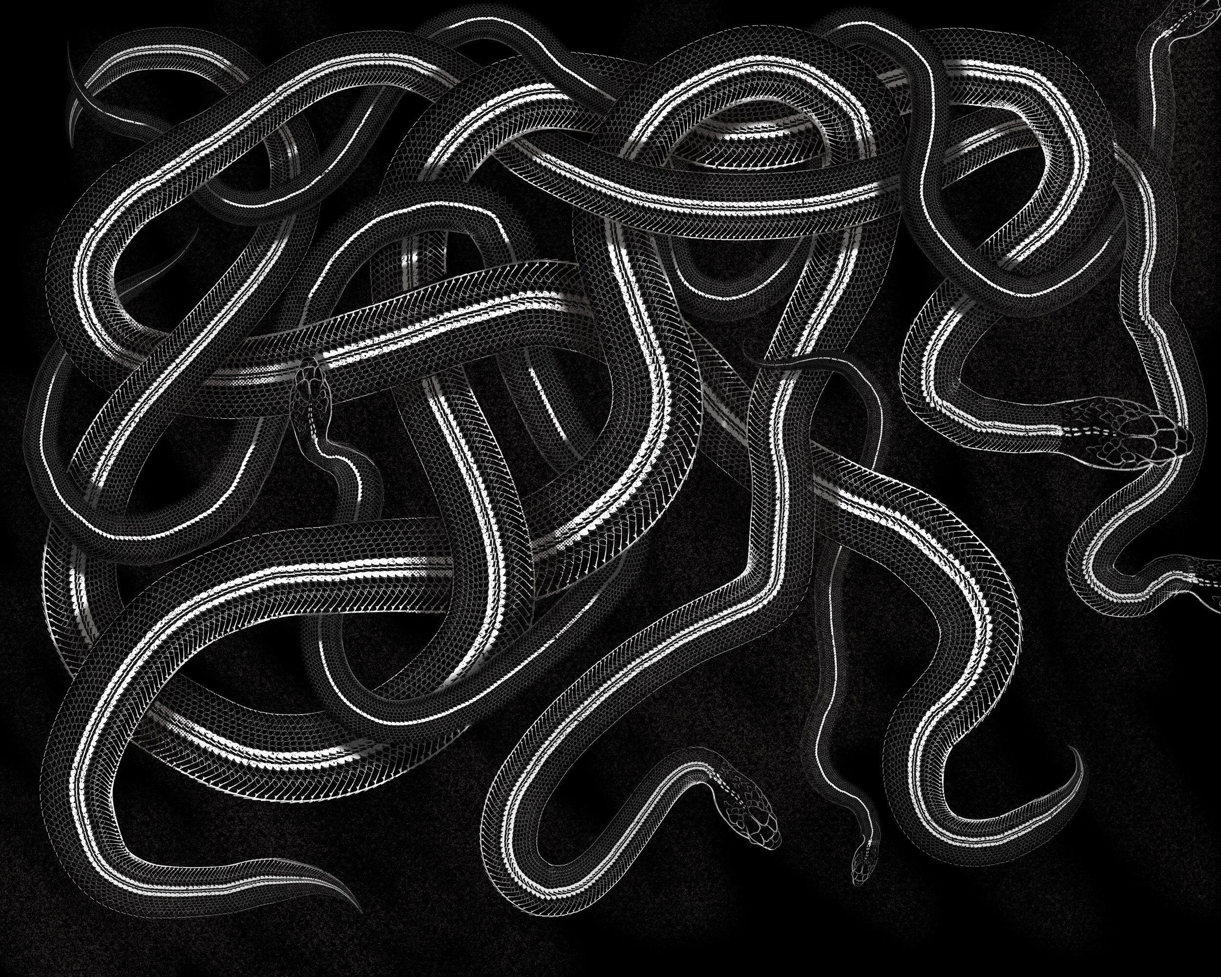 Snake Brush pack 