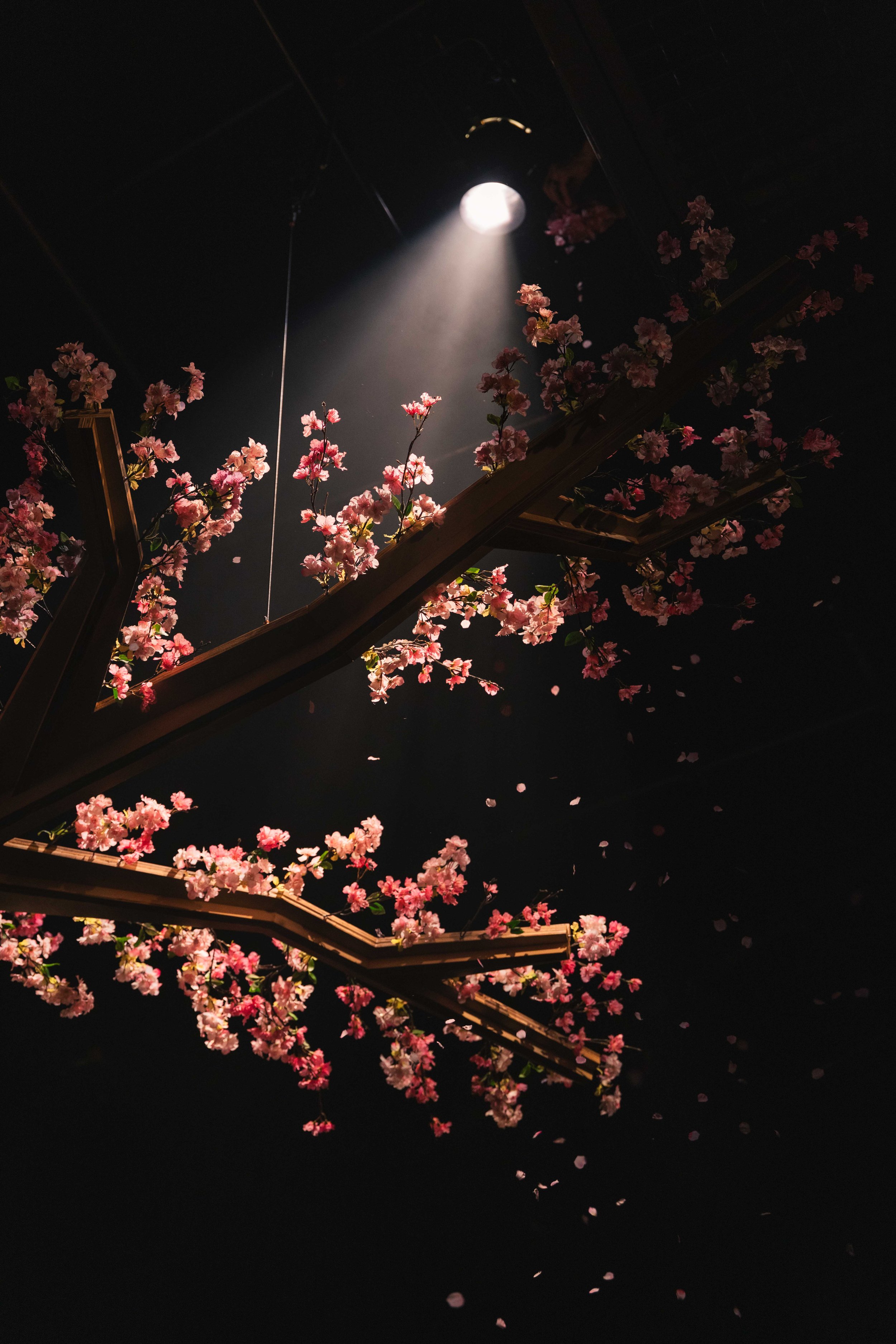 the aves Production Photos_Photo Credit Giao Nguyen_WEB-253.jpg