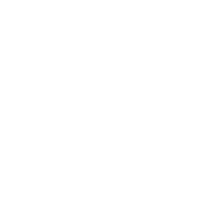 SGB Finance