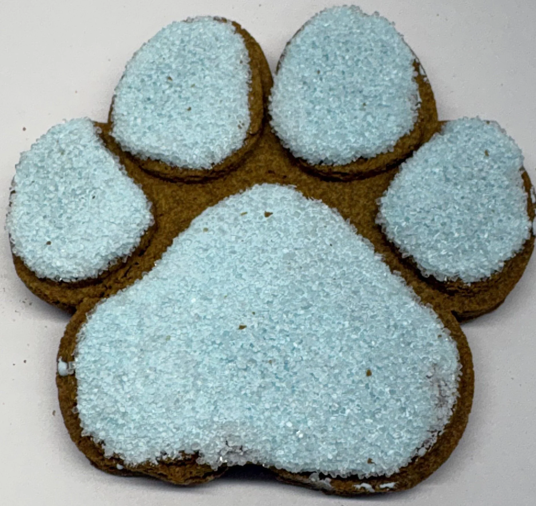 Winter paw 10.18.26.jpeg