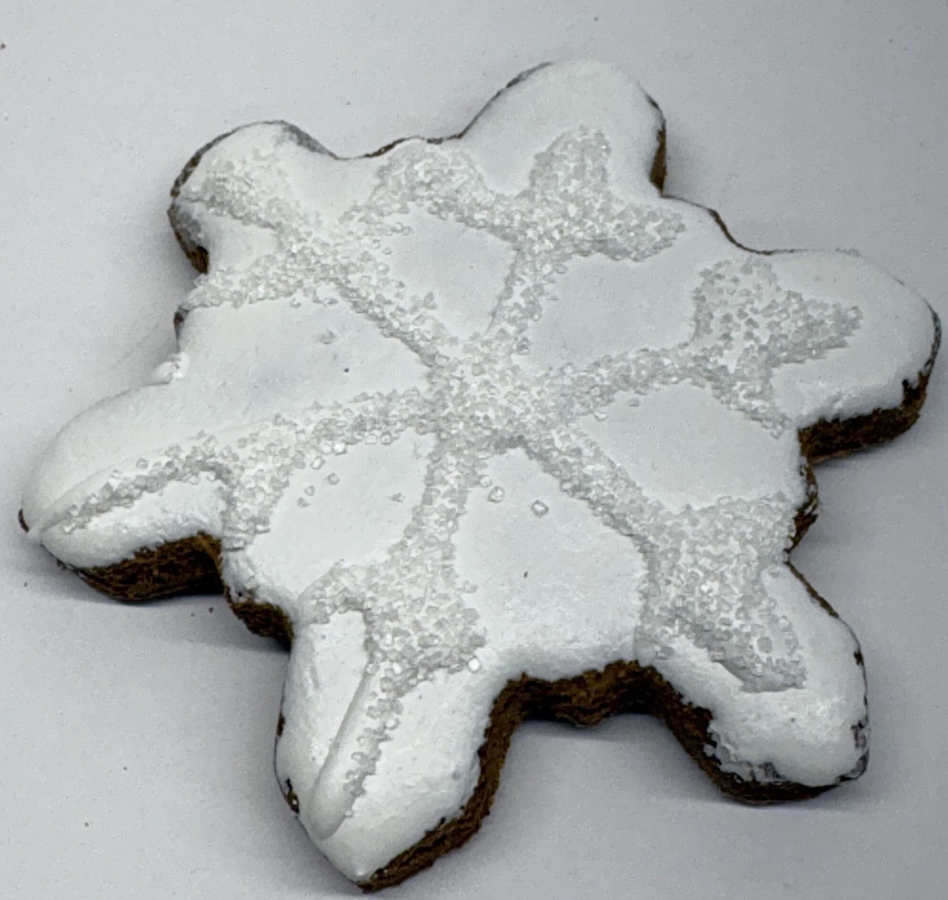 snowflake 10.18.26.jpeg