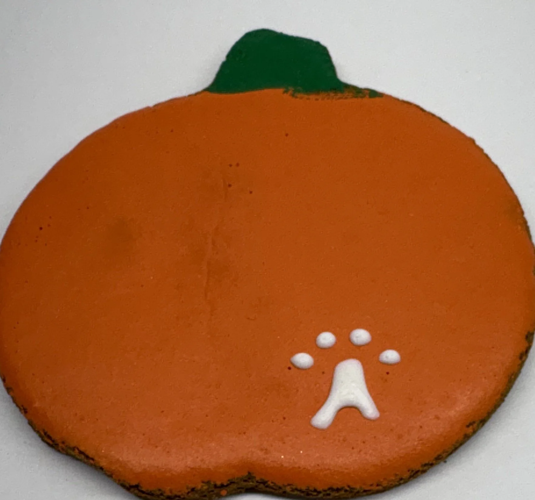 pumpkin 10.18.26.jpeg