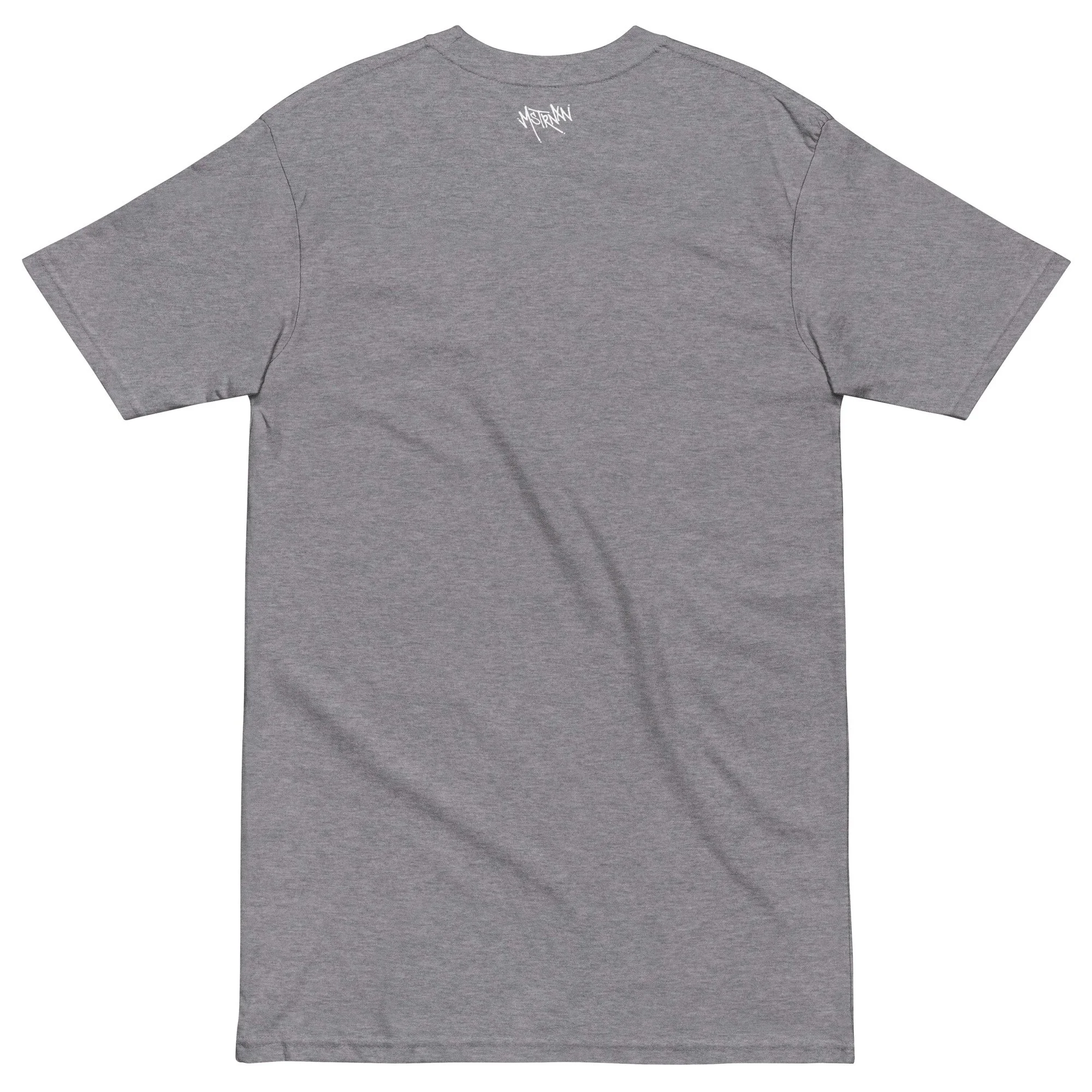 mens-premium-heavyweight-tee-carbon-grey-back-65971e5e21eae.jpg